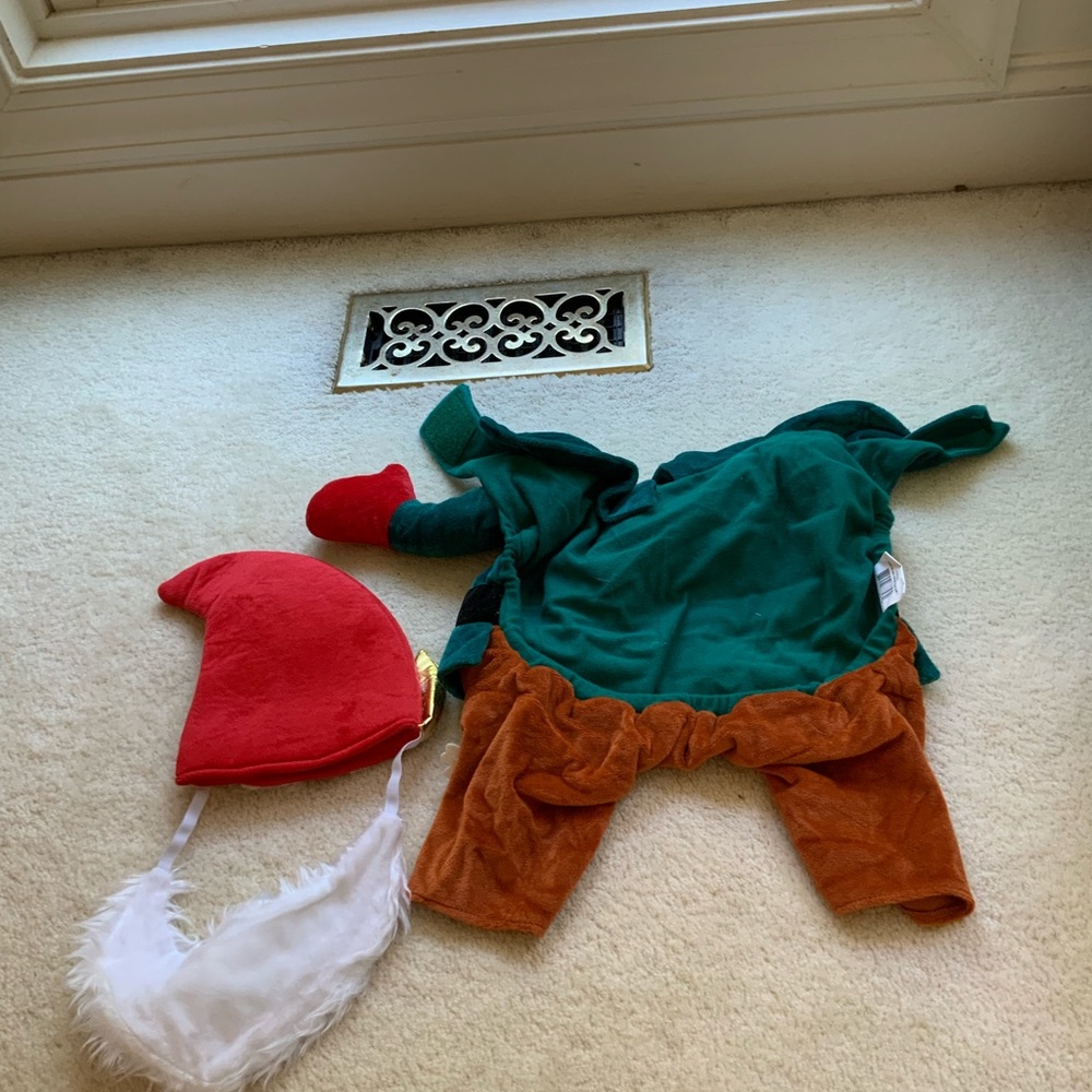 ADORABLE CHRISTMAS ELF DOG HALLOWEEN COSTUME OUTFIT WITH CAP AND BEARD - Picture 9 of 16